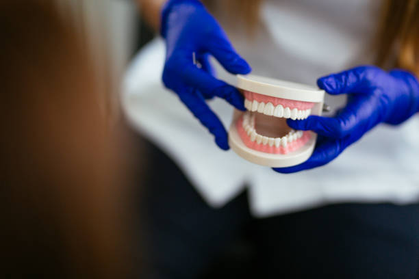 Trusted Prior Lake, MN Holistic Dental Care Services Experts